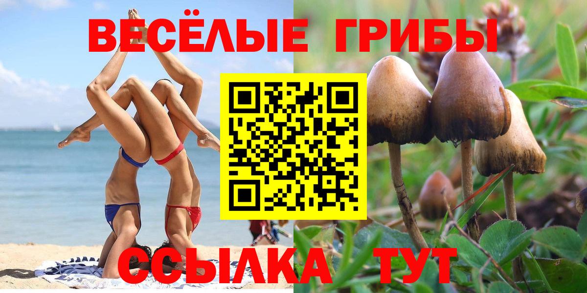 Галлюциногенные грибы мухоморы  Вход с VPN  Кумертау  Галлюциногенные грибы Psilocybe 